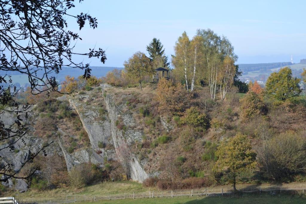 Lierneux Gite La Forge, Ouvert En 2016. 빌라 외부 사진